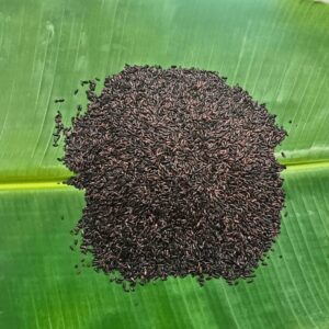 விறகில் அவித்த கருப்பு கவுனி அரிசி